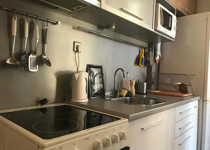 Beautiful Business - Ivan Denkoglu Street By Flat Mаnager